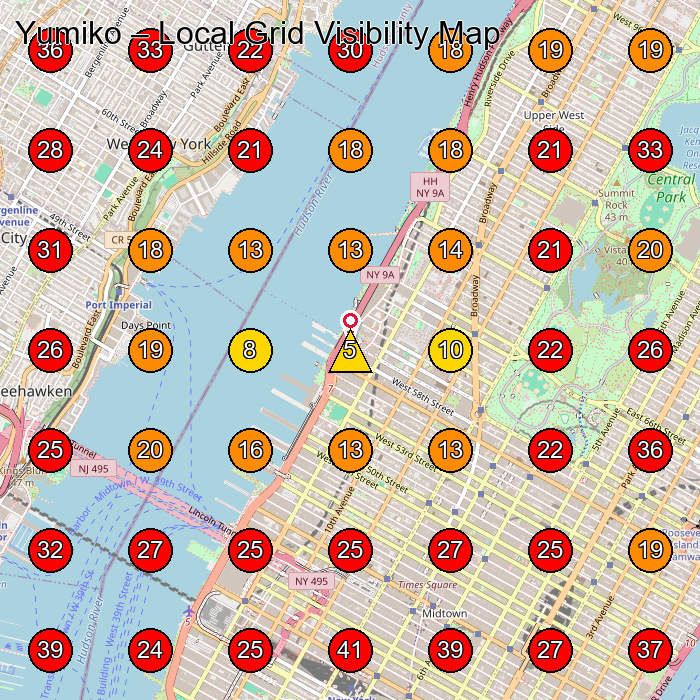 Yumiko GeoGrid visibility map for Clothing Store in New York
